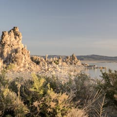 A cluster of tufa towers rises from a calm lake, surrounded by shrubs under a clear blue sky.