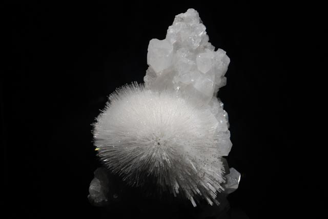 A cluster of white, crystalline formations with sharp, radiating spines stands against a dark background.