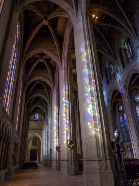 Stained glass light patterns illuminate stone columns and vaulted ceilings in a grand Gothic cathedral interior.