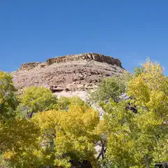 A rocky outcropping is surrounded by trees with yellow leaves, set against a blue sky.