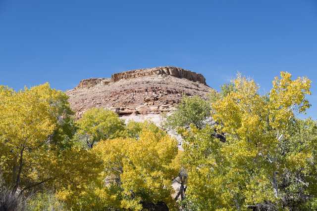 A rocky outcropping is surrounded by trees with yellow leaves, set against a blue sky.