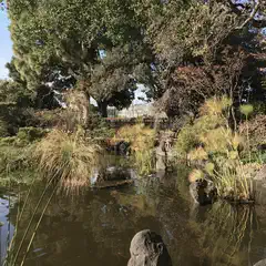 A koi pond is surrounded by large rocks and tall grasses, with trees visible in the background.