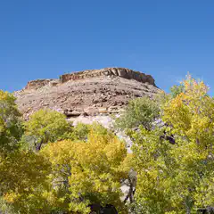 A rocky outcropping is surrounded by trees with yellow leaves, set against a blue sky.