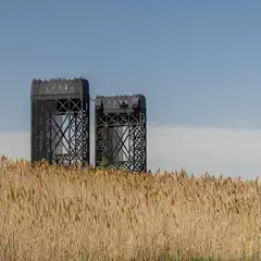 Two tall, dark steel bridge towers rise above a field of dry reeds under a clear sky.