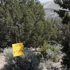 A yellow sign marking the Nevada State Line stands amidst trees and a mountainous backdrop.