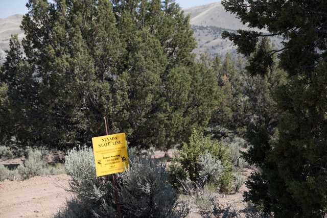 A yellow sign marking the Nevada State Line stands amidst trees and a mountainous backdrop.