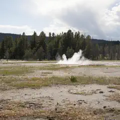 A geyser erupting from the ground in an open field, with mountains and trees in the background.