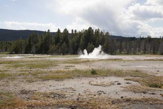 A geyser erupting from the ground in an open field, with mountains and trees in the background.