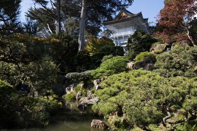 A white Japanese-style pagoda is visible behind a hill covered with green bushes and large rocks.