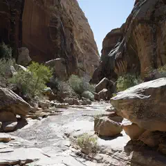 A narrow canyon between tall rock walls with vegetation and fallen stones on the ground.