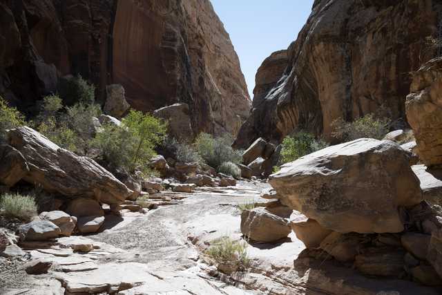 A narrow canyon between tall rock walls with vegetation and fallen stones on the ground.