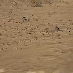 A sandy surface characterized by ripples, holes, and other marks that suggest movement or erosion.