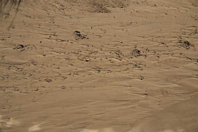 A sandy surface characterized by ripples, holes, and other marks that suggest movement or erosion.
