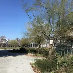 A concrete sidewalk runs along a row of trees and bushes beside a building with large windows.