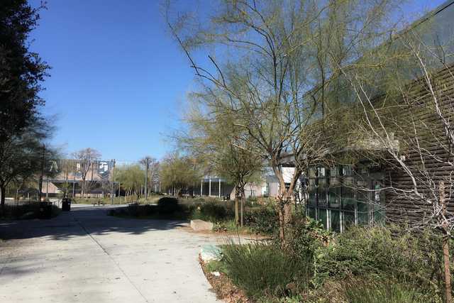 A concrete sidewalk runs along a row of trees and bushes beside a building with large windows.