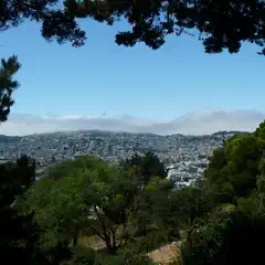 A panoramic view of a densely built urban landscape framed by trees, with a fog layer and distant hills visible in the background.