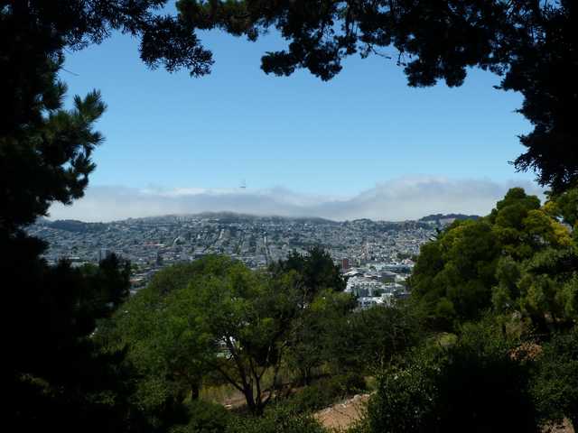 A panoramic view of a densely built urban landscape framed by trees, with a fog layer and distant hills visible in the background.