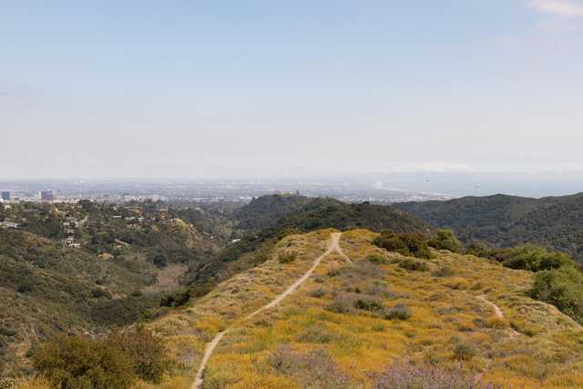 A dirt path winds through a grassy area covered with yellow wildflowers and purple flowers, on a hillside overlooking a city in the distance.