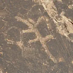 An abstract pattern of tan and black marks is visible on a dark brown surface.