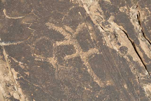 An abstract pattern of tan and black marks is visible on a dark brown surface.