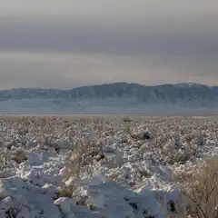 A snow-covered desert landscape with sparse vegetation and distant mountains under a cloudy sky.