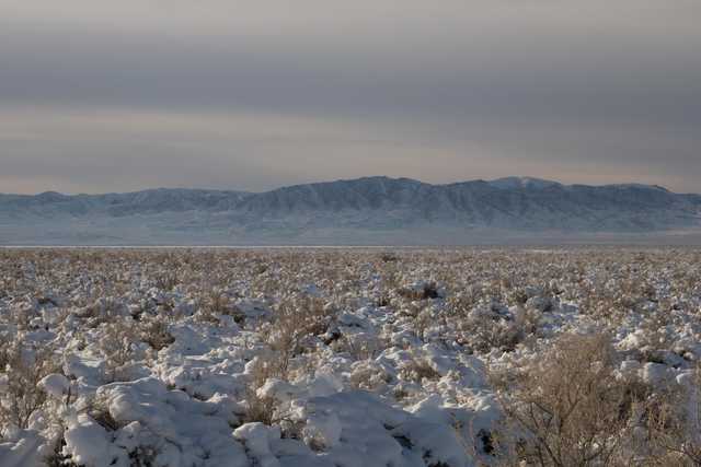 A snow-covered desert landscape with sparse vegetation and distant mountains under a cloudy sky.