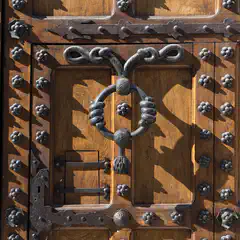 An intricately detailed wooden door is adorned with ornate metal accents and features a sturdy lock.
