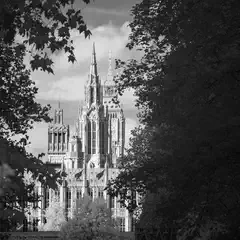 A large Gothic building with two tall spires is seen through tree branches.