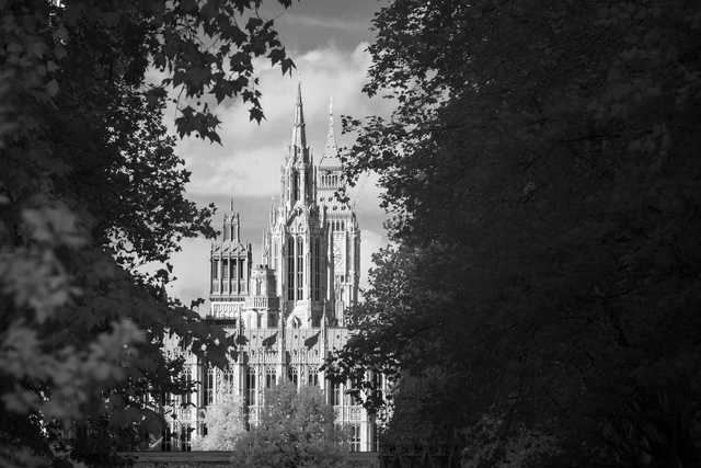 A large Gothic building with two tall spires is seen through tree branches.