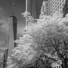 A tall building with a pointed top stands amidst other skyscrapers, partially obscured by trees in the foreground.