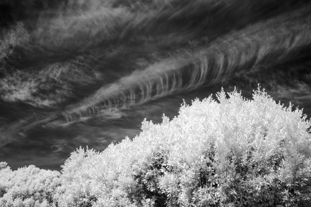 A dark sky filled with wispy cirrus clouds dominates this view, with a prominent row of trees running diagonally across the bottom half.