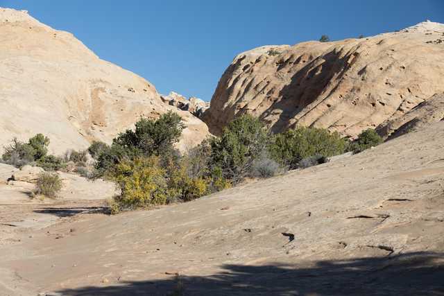 A rocky landscape features tan-colored rock formations with trees nestled between them.