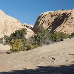 A rocky landscape features tan-colored rock formations with trees nestled between them.