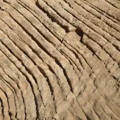 A rocky surface features a distinctive pattern of grooves and ridges that run diagonally across it.