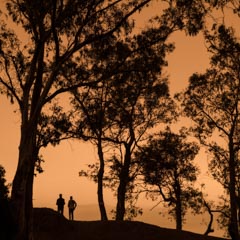 An orange sky is visible behind several trees and two people standing on a hill.