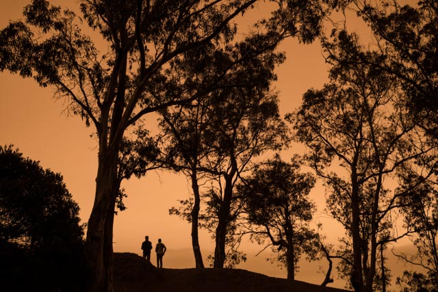 An orange sky is visible behind several trees and two people standing on a hill.