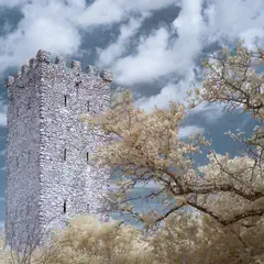 An old stone tower is surrounded by trees and set against a cloudy sky.