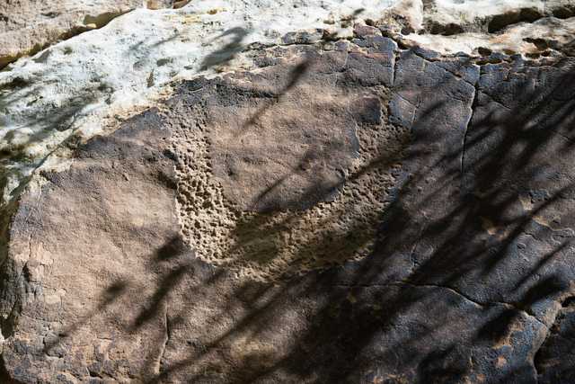 A rock surface features intricate patterns etched into its rugged texture.