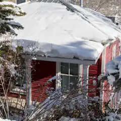 A red house with white trim and a snow-covered roof is visible through trees and bushes.