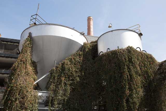 A red-brick smokestack sits atop a brewery, surrounded by two large white tanks covered in vines and ivy.