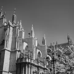 A large, ornate cathedral with intricate architectural details and multiple towers under a clear sky.