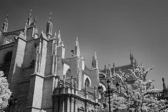 A large, ornate cathedral with intricate architectural details and multiple towers under a clear sky.