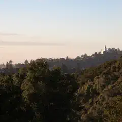 A dense forest covers a hillside, with a building and spire visible above the treetops in the background.