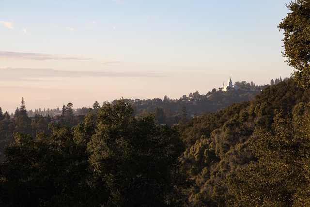 A dense forest covers a hillside, with a building and spire visible above the treetops in the background.