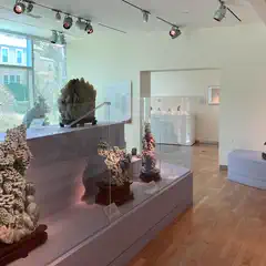 A gallery room contains several sculptures displayed on dark stands and within glass cases.