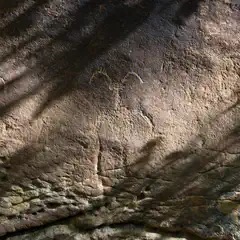 An outcropping of sandstone displays ancient petroglyphs in the shadows, while sunlight illuminates other areas.