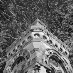 A stone Gothic-style structure with arched openings and ornate carvings rises beneath a canopy of leafy branches.