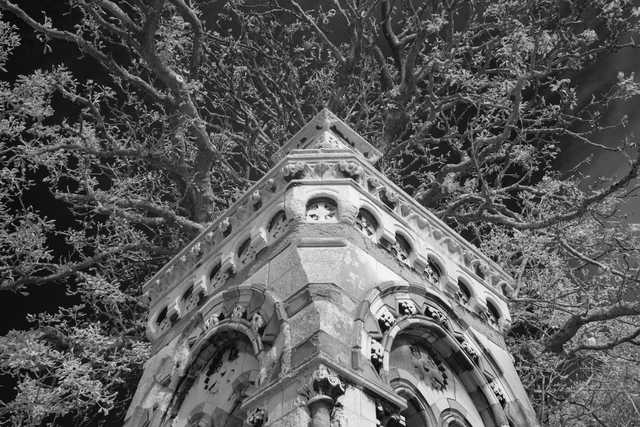 A stone Gothic-style structure with arched openings and ornate carvings rises beneath a canopy of leafy branches.