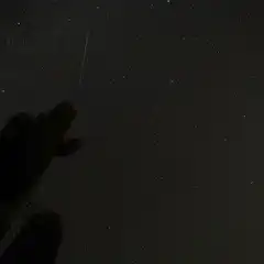 A streak of light is visible in the night sky above a desert landscape with saguaro cacti and other vegetation.