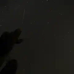 A streak of light is visible in the night sky above a desert landscape with saguaro cacti and other vegetation.